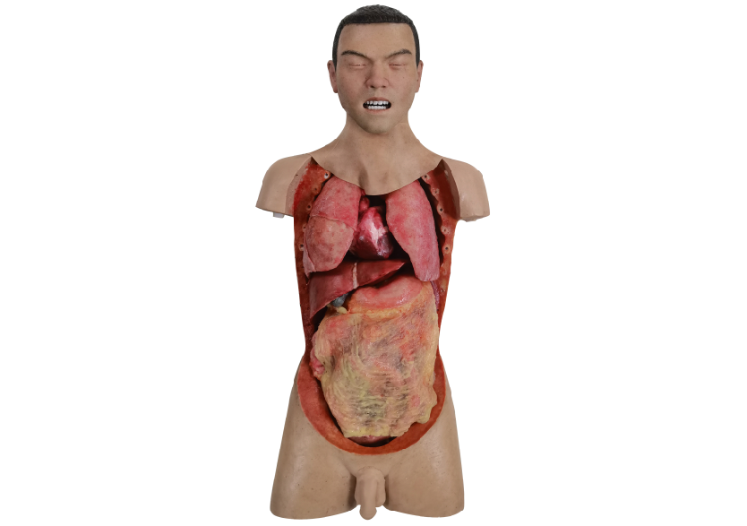 胸腹部損傷控制手術模擬人系統(tǒng)3.0